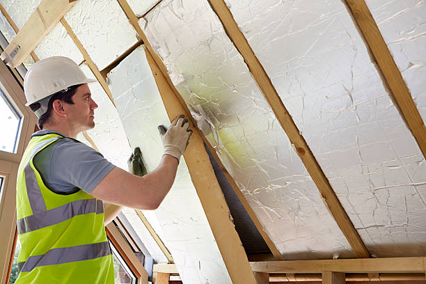 Best Insulation Maintenance and Repair in Magna, UT